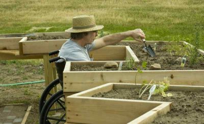 Gardening In A Wheelchair: 5 Essential Tips