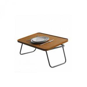 cover_main|Bed_table_tray.jpg|The Invacare Bed Table (tray)