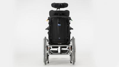 ReA Azalea tall rear view