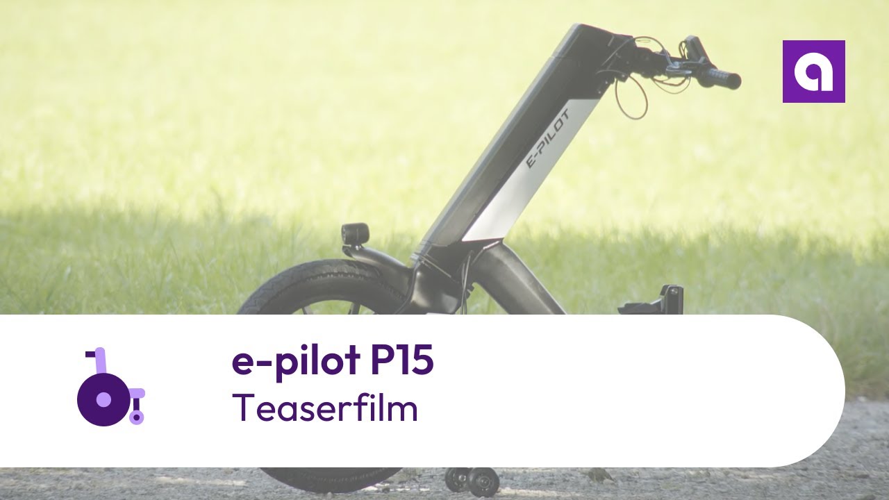 Transportsicherung - e-pilot P15, 194,90 €